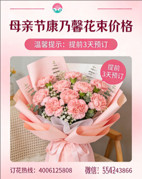 松原扶余县花店母亲节康乃馨花束