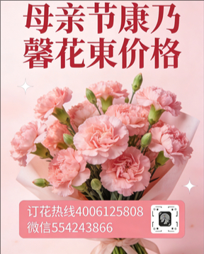 松原扶余县花店母亲节康乃馨花束